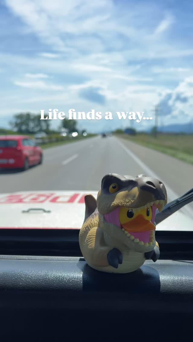 Instagram post from krazy_oldtimer. This post is in position 1.